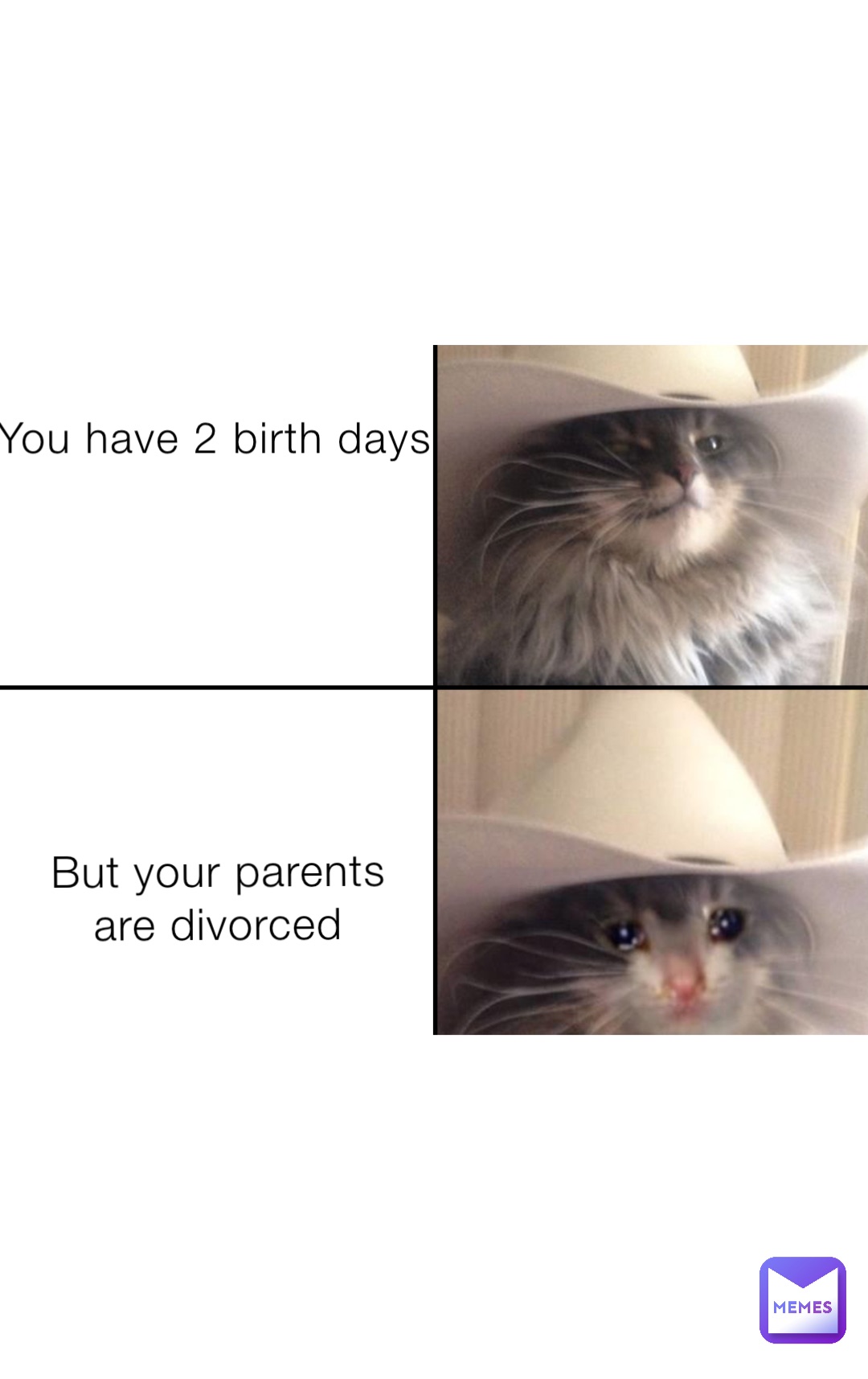You have 2 birth days But your parents are divorced
