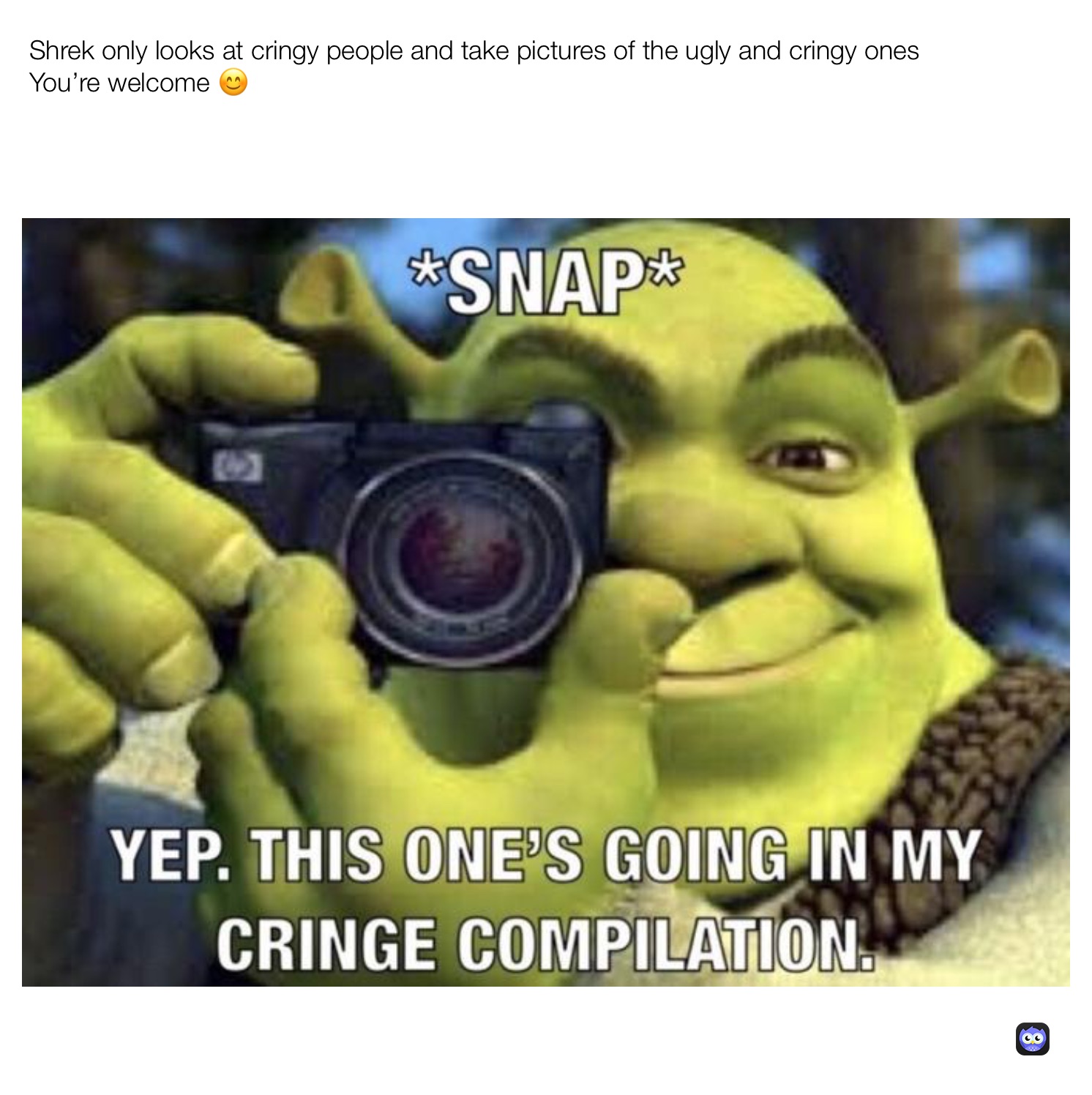 Shrek meme 🤠  Shrek funny, Shrek memes, Shrek