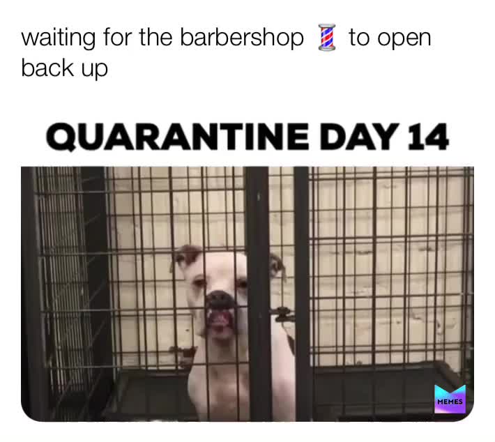Meme shared by @offdachainmemez