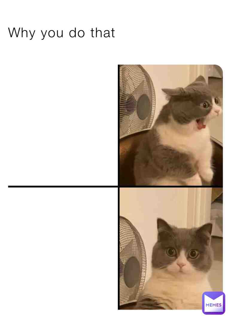 Meme shared by @gamer_dog_2015