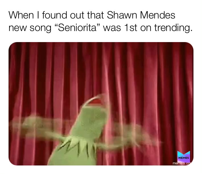 Go listen to Seniorita. No hate if i spelled it wrong srry