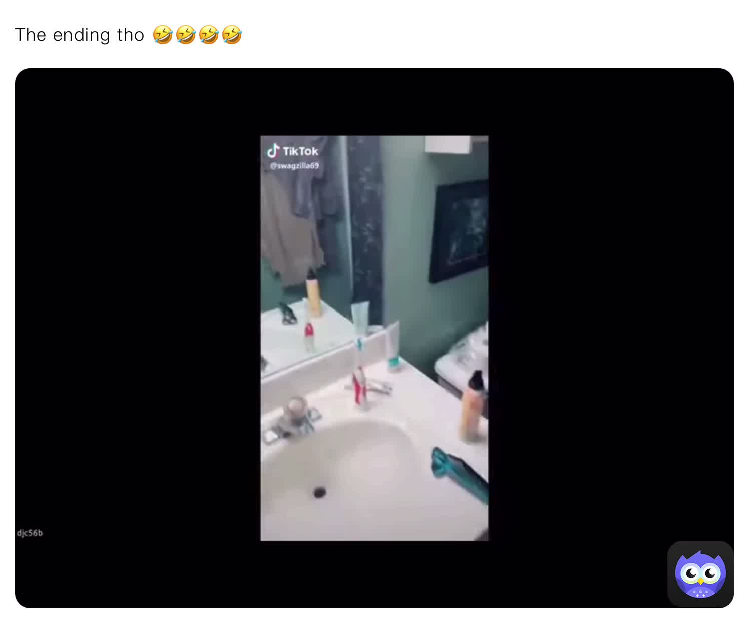 #wtfdidijustwatch  #wtfnation  #wtf  #random