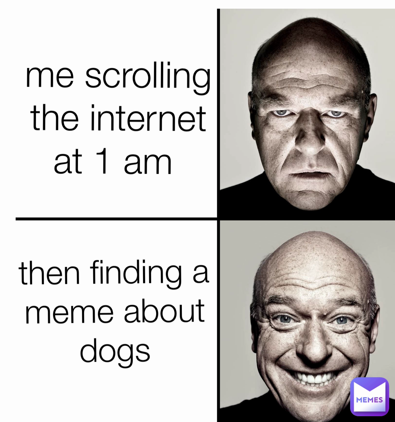 me scrolling the internet at 1 am  then finding a meme about dogs