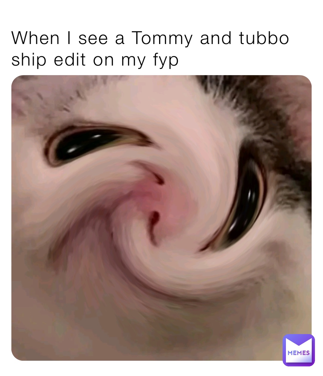 When I see a Tommy and tubbo ship edit on my fyp
