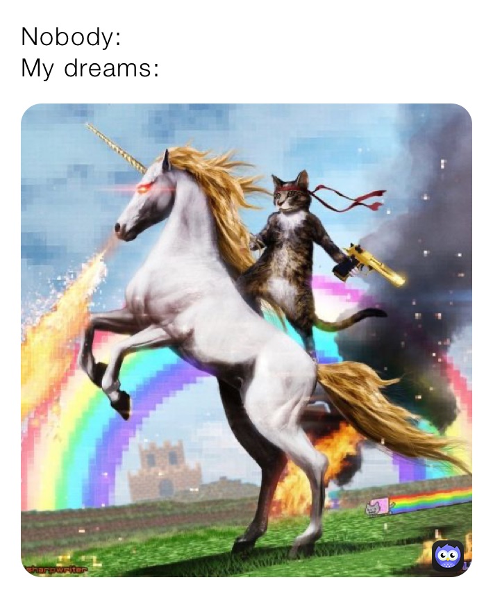 Nobody:
My dreams: