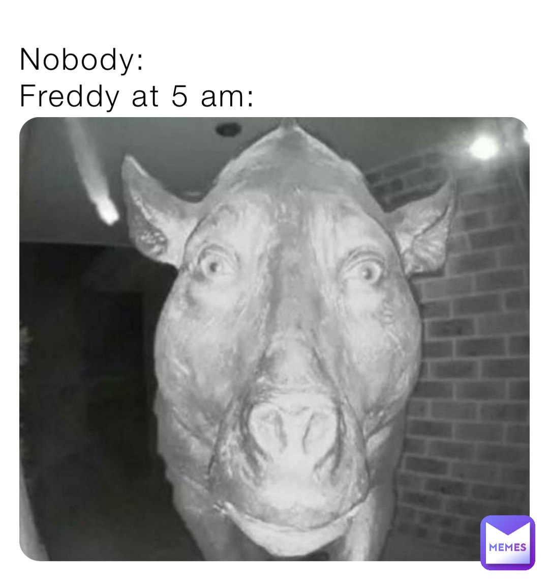 Nobody:
Freddy at 5 am: