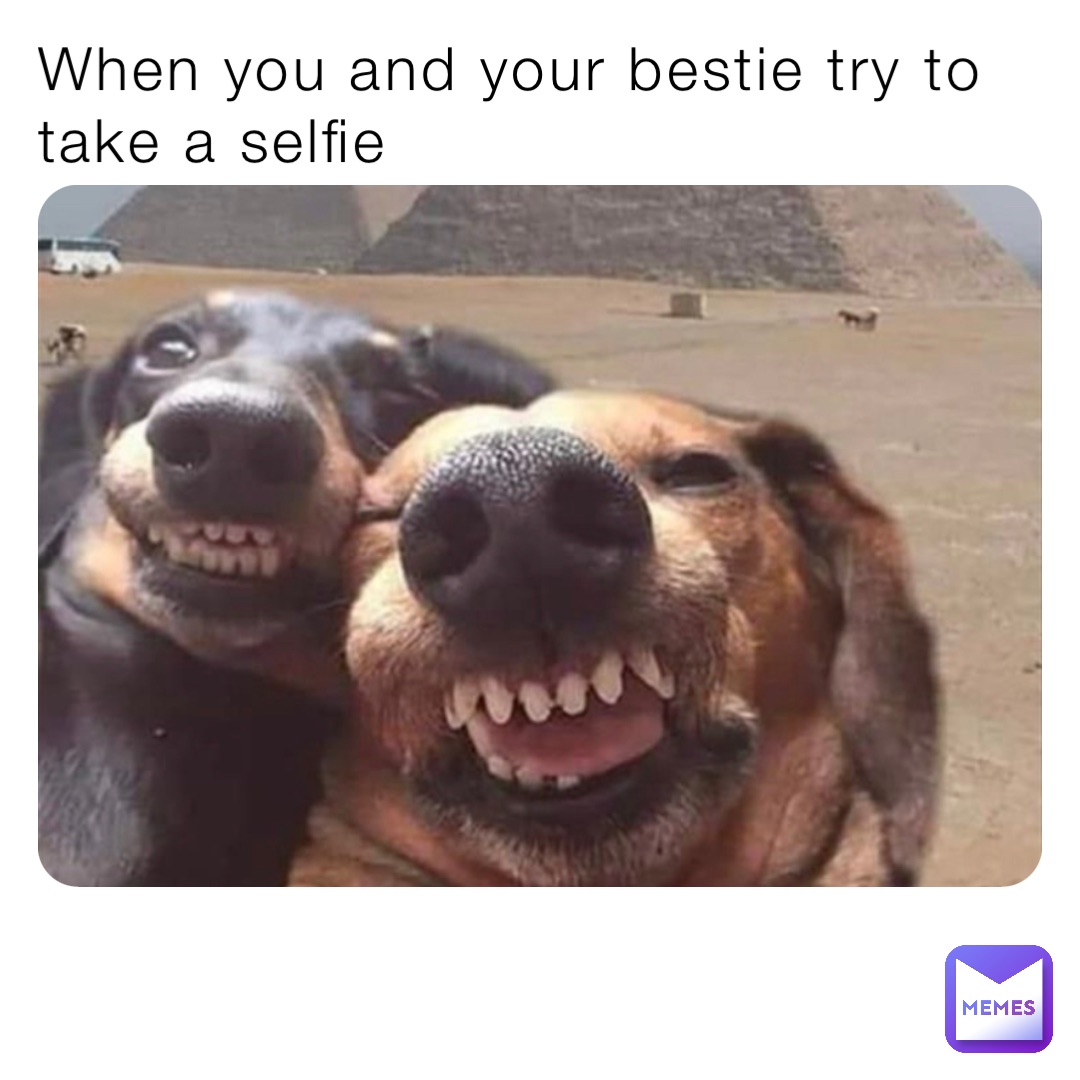 When you and your bestie try to take a selfie