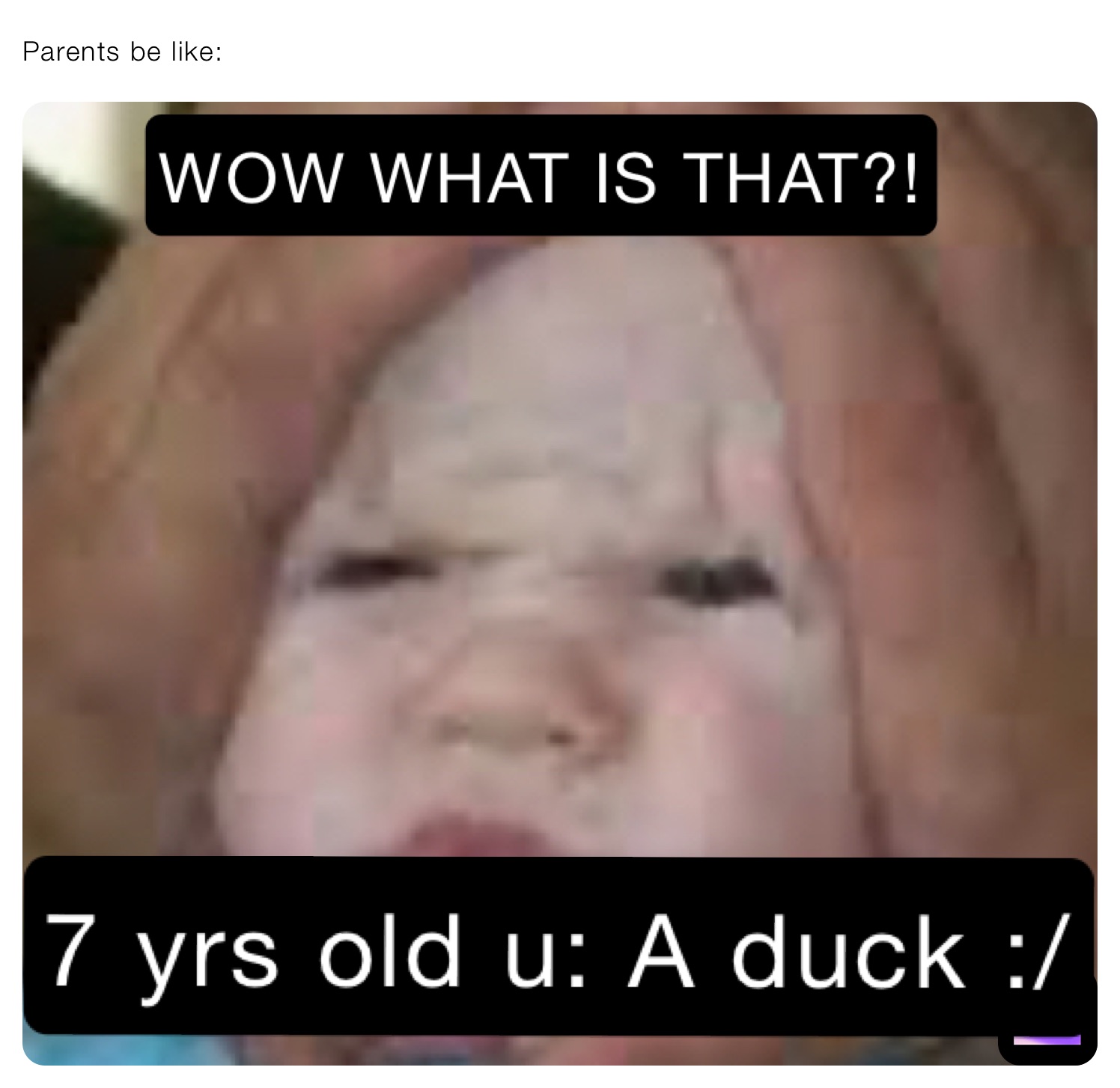 Meme by thiccGamingPeppa