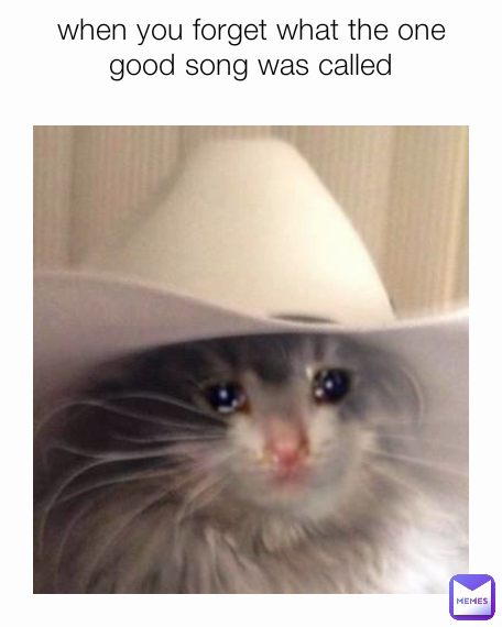 when you forget what the one good song was called
