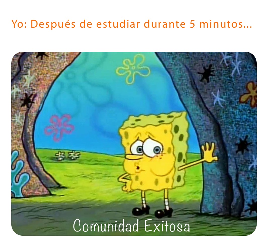 Yo: Después de estudiar durante 5 minutos...