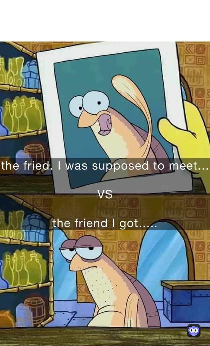 the-fried-i-was-supposed-to-meet-vs-the-friend-i-got-stefy