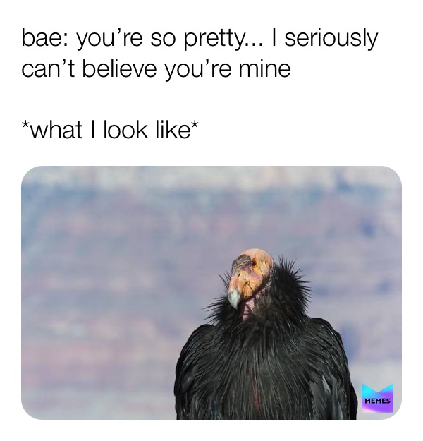 Meme by _memez_for_dayz_