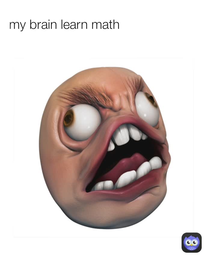 my brain learn math 