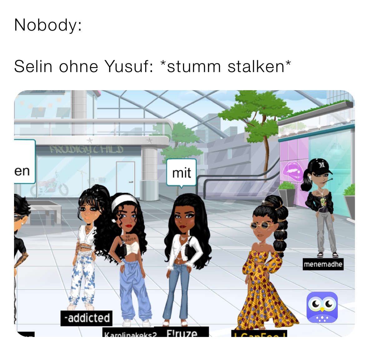 Nobody:

Selin ohne Yusuf: *stumm stalken*