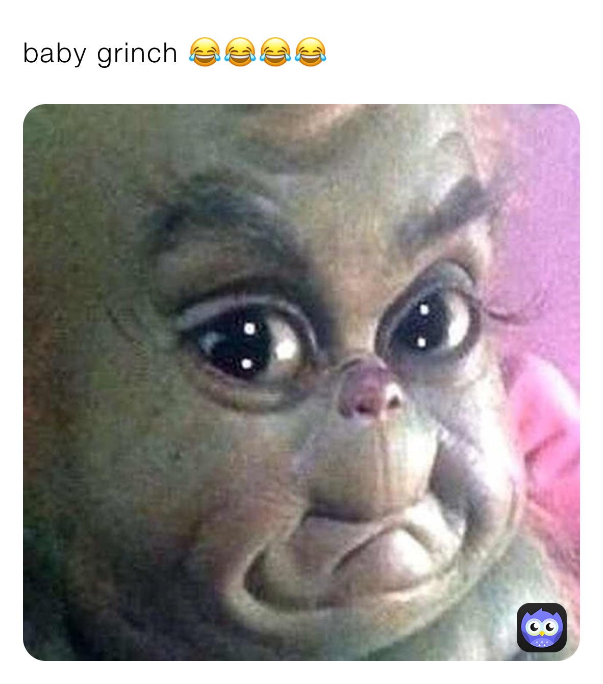 baby grinch 😂😂😂😂