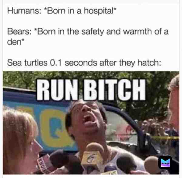 Meme preview