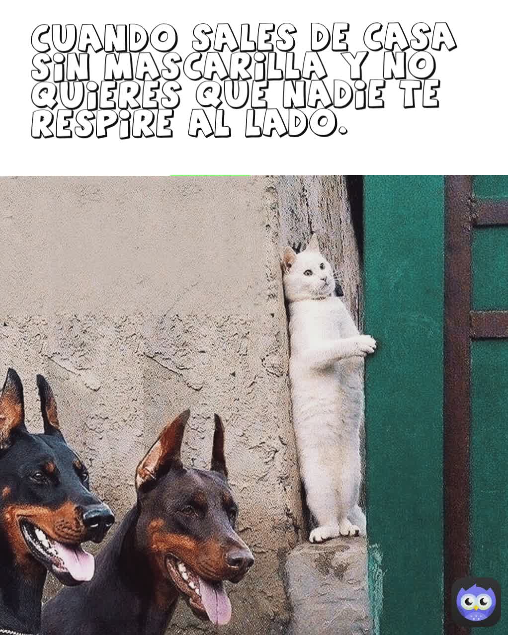 CUANDO SALES DE CASA SIN MASCARILLA Y NO QUIERES QUE NADIE TE RESPIRE AL LADO. 