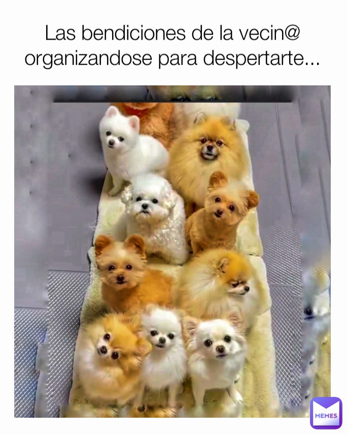 Meme by hugomanuelosano