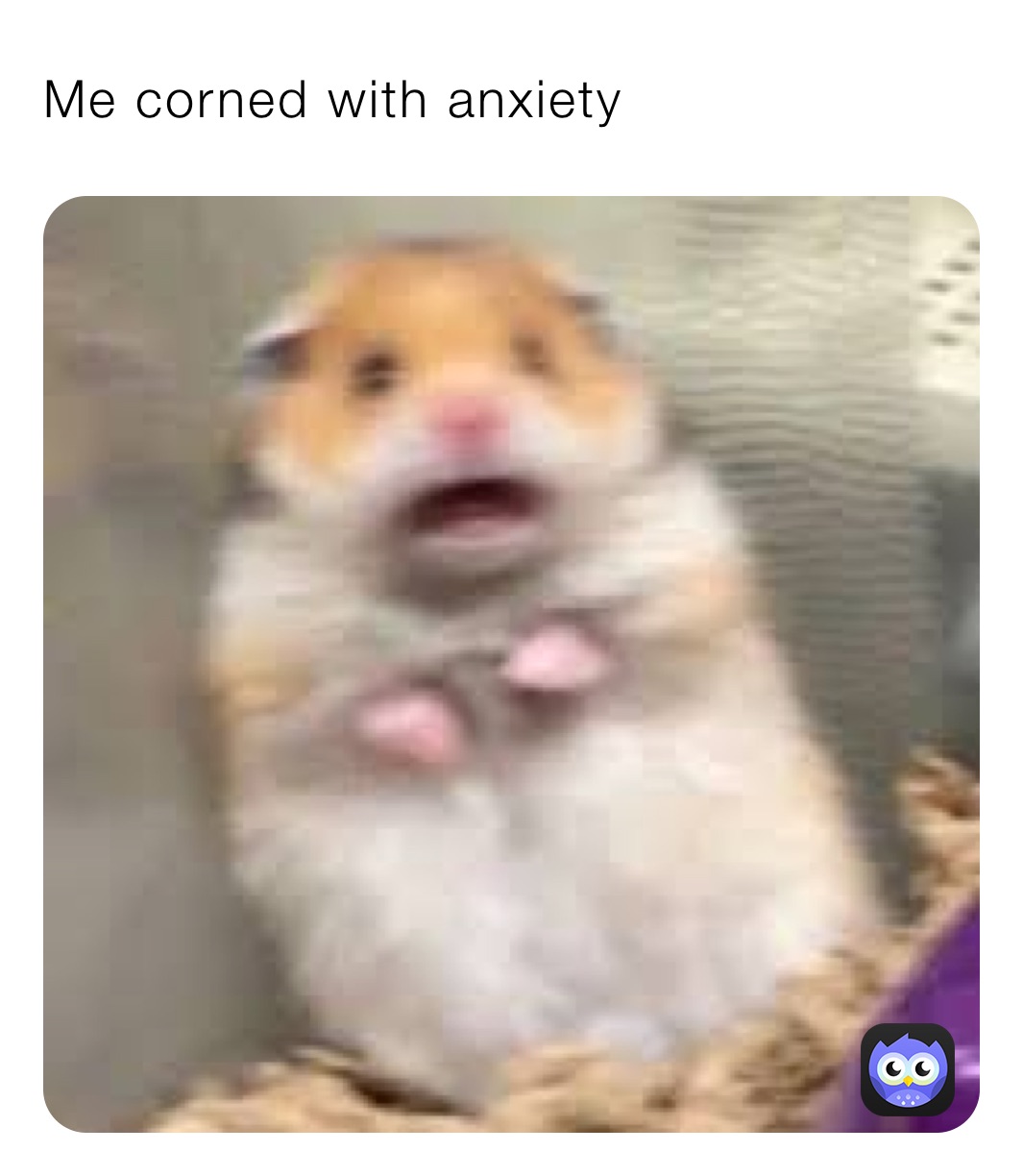 Me corned with anxiety 