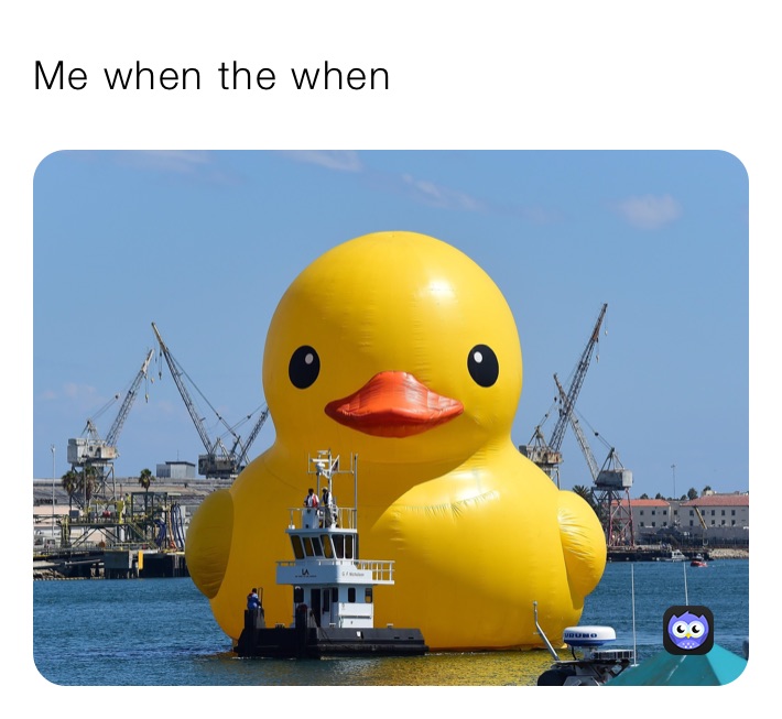 Me when the when 