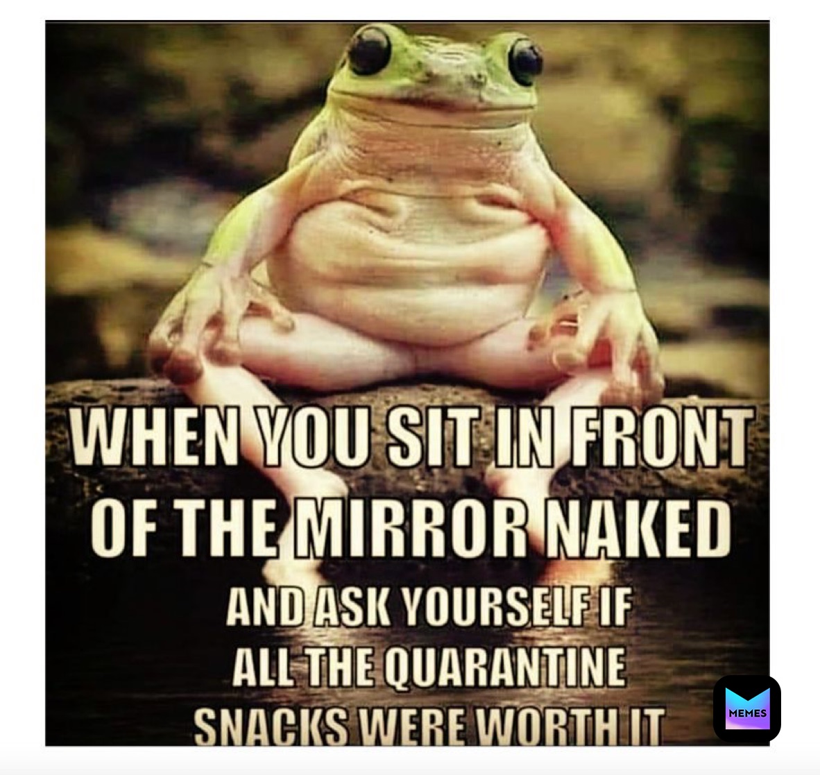 Meme by urlocalmemerrrrr