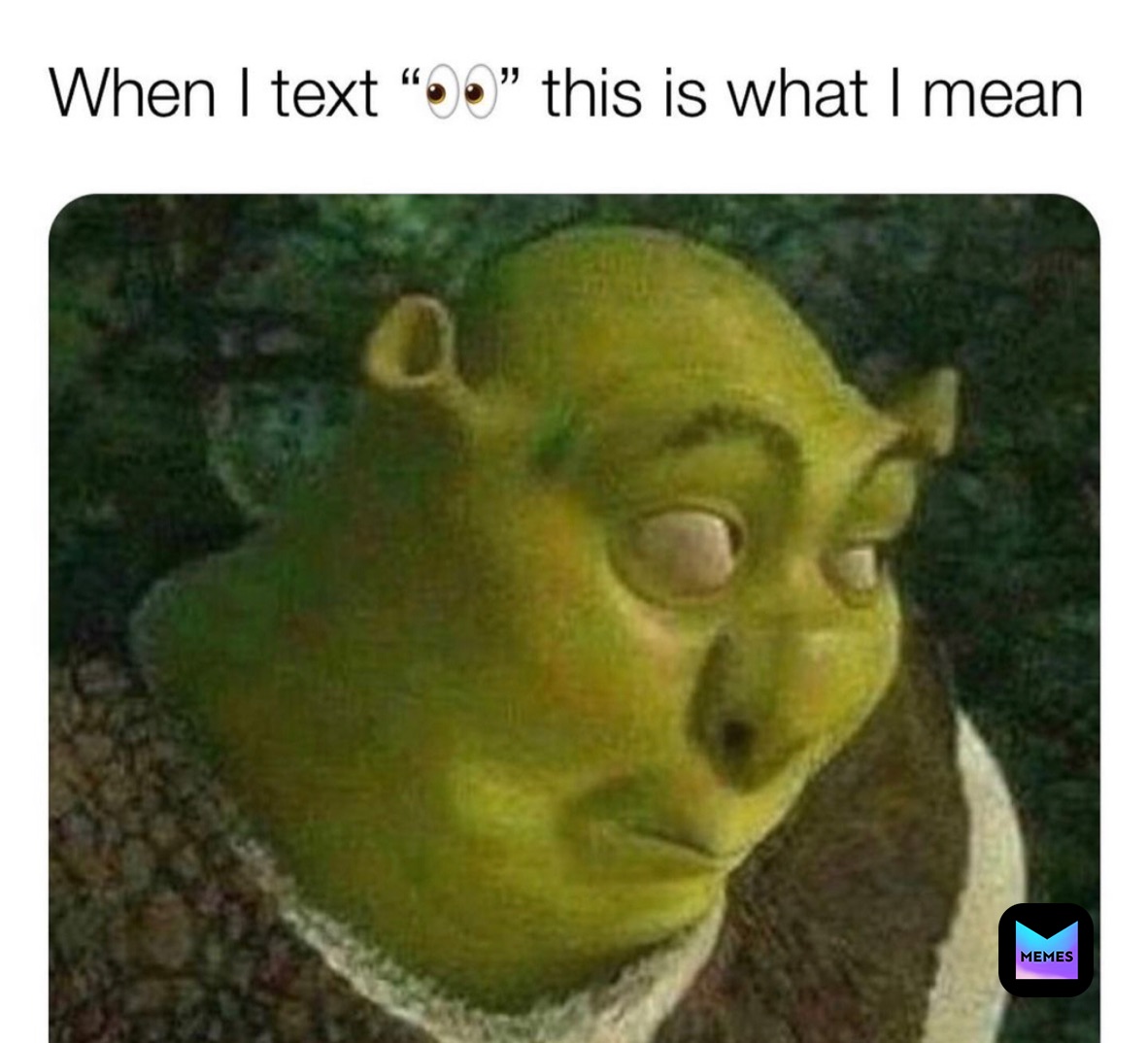 Meme by urlocalmemerrrrr