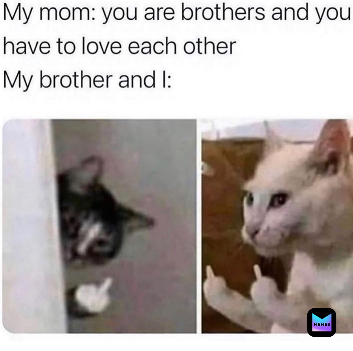 Meme by urlocalmemerrrrr