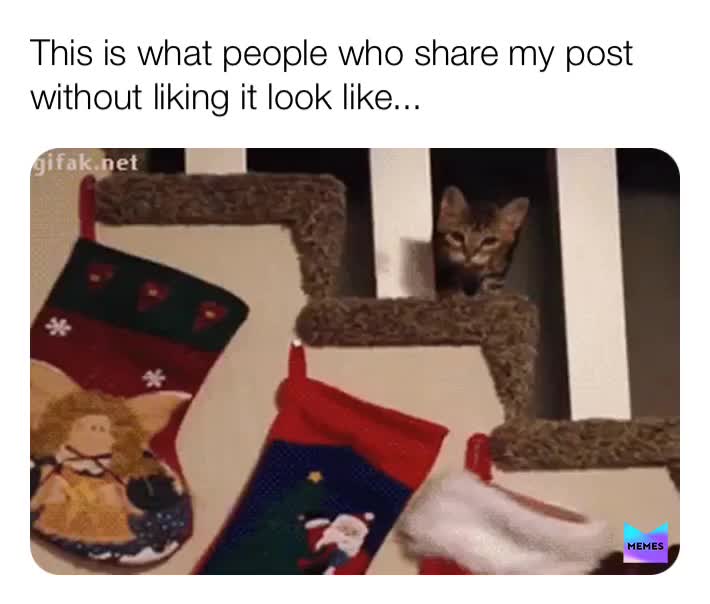 #funny  #memes  #hilarious  #facebook  #instagram  #funnymemes