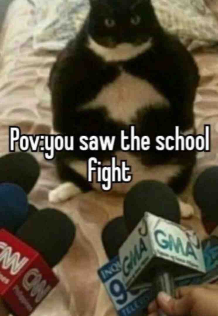 Meme preview