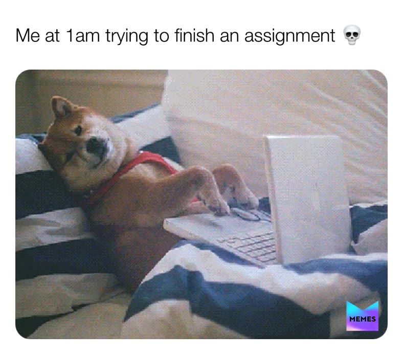 Big mood  #funny  #memes  #funnymemes  #werid  #sleep  #sleepy   #school