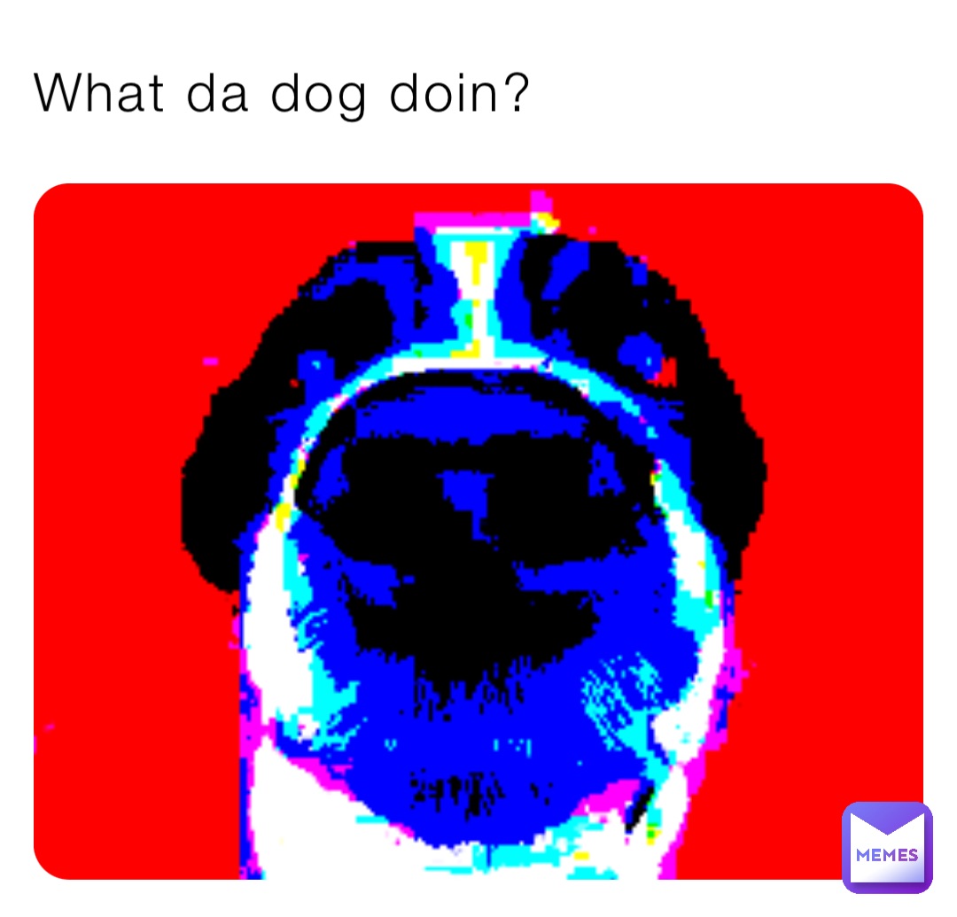 What da dog doin?