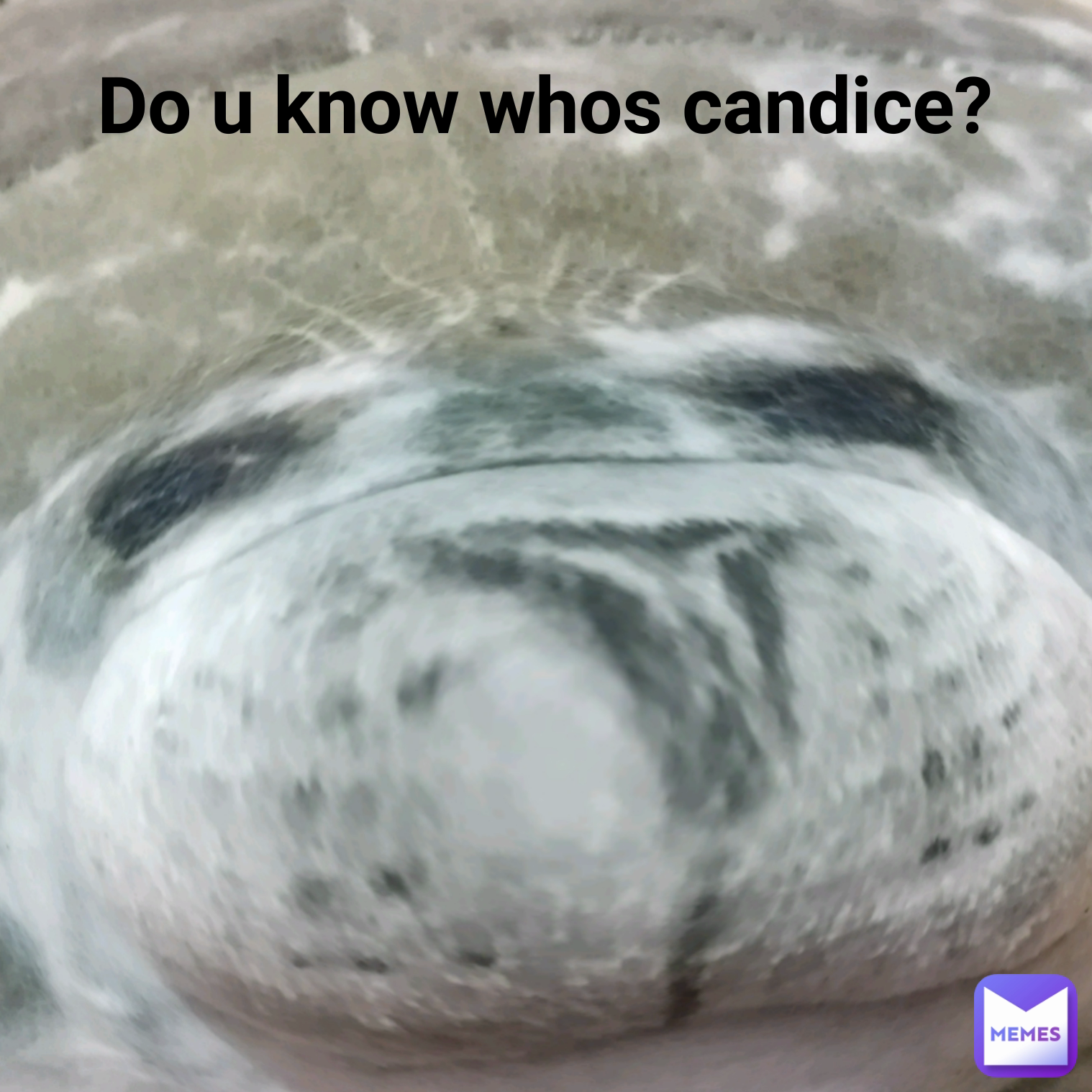 Do u know whos candice?