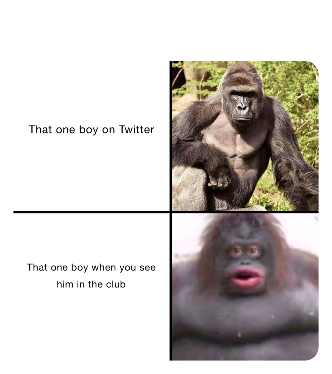 Meme by Shit_Memes69