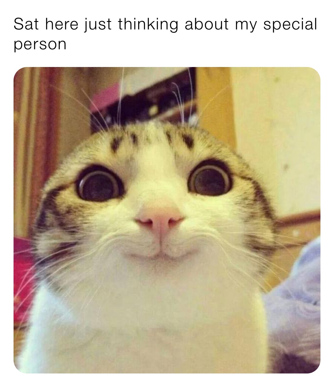 Meme by Shit_Memes69