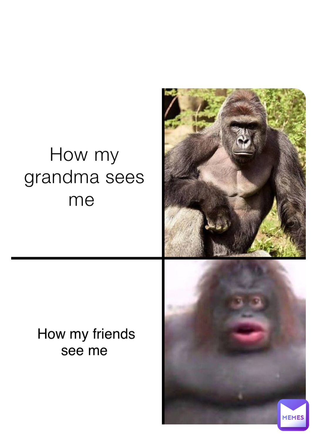 How my grandma sees me How my friends see me