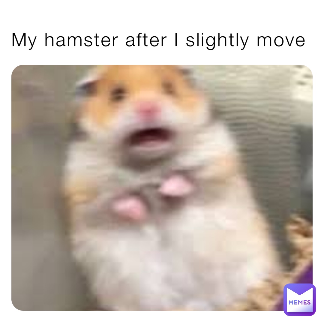 My hamster after I slightly move