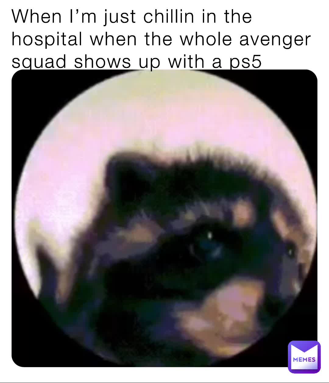 Meme preview