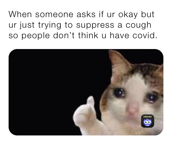 Viral cat coughing meme