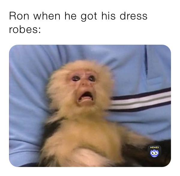 Ron when he got his dress robes: