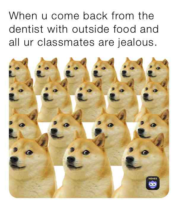 #school  #dentist  #dog