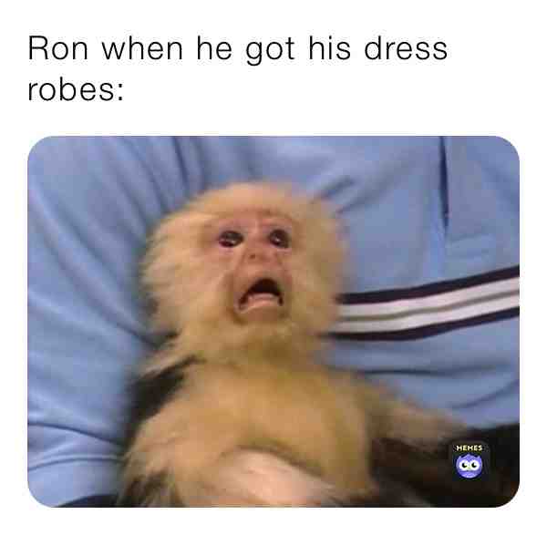 #harrypotter  #ronweasley