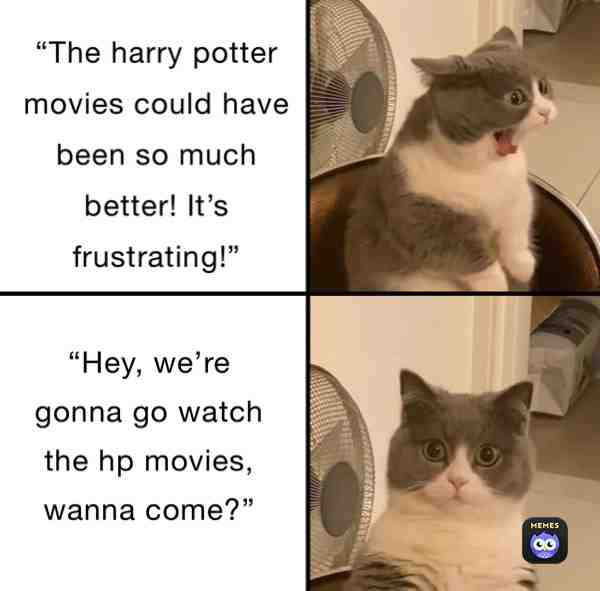 #hp  #harrypotter