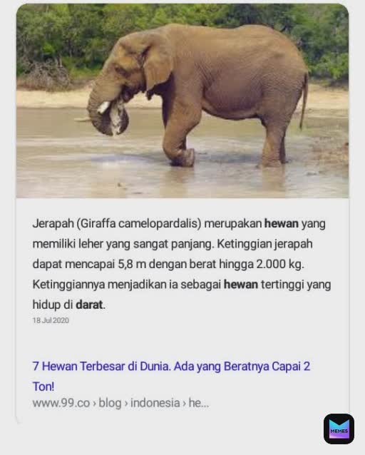 Meme by donirizaldidoni