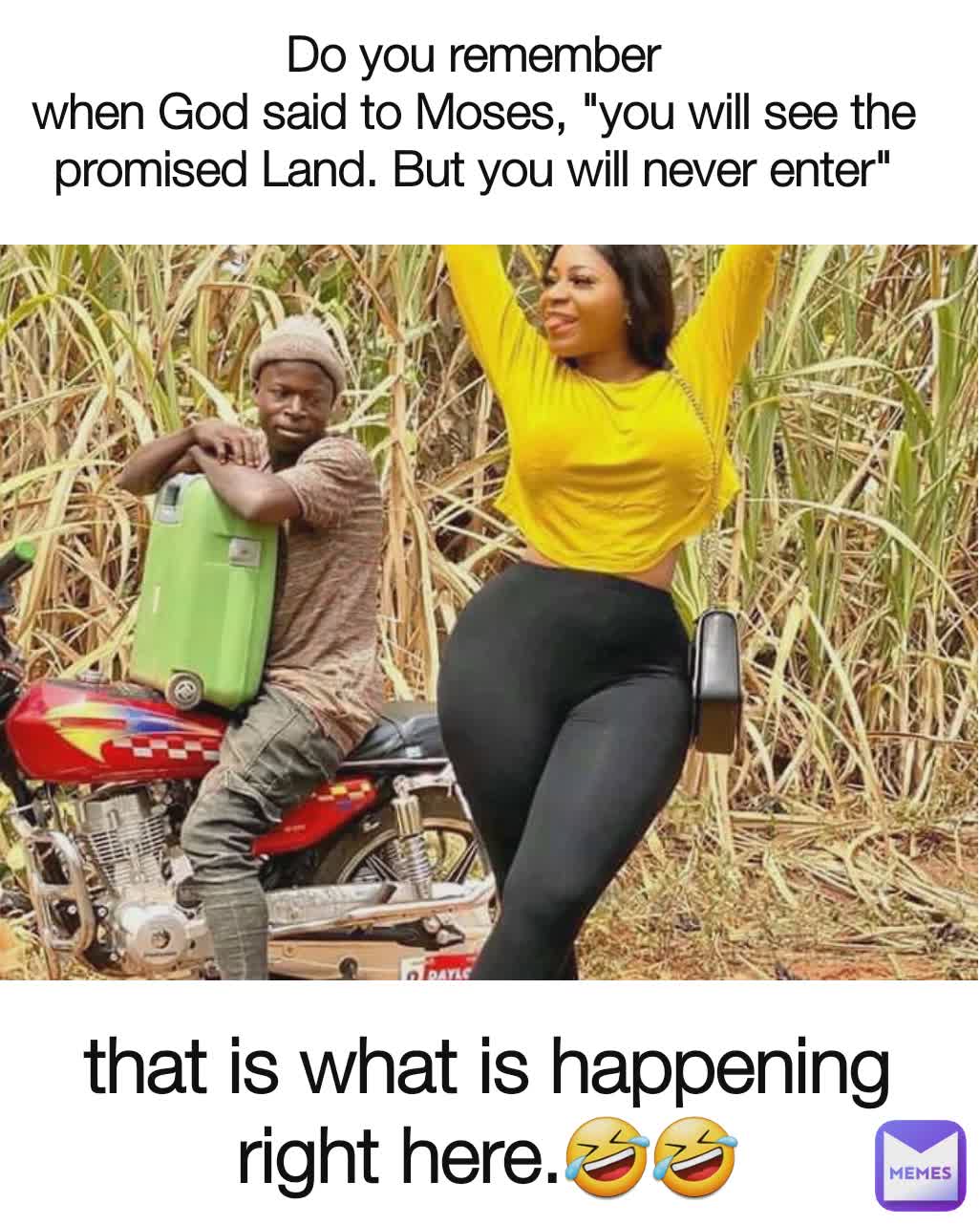 Do you remember
when God said to Moses, "you will see the promised Land. But you will never enter" that is what is happening right here.🤣🤣