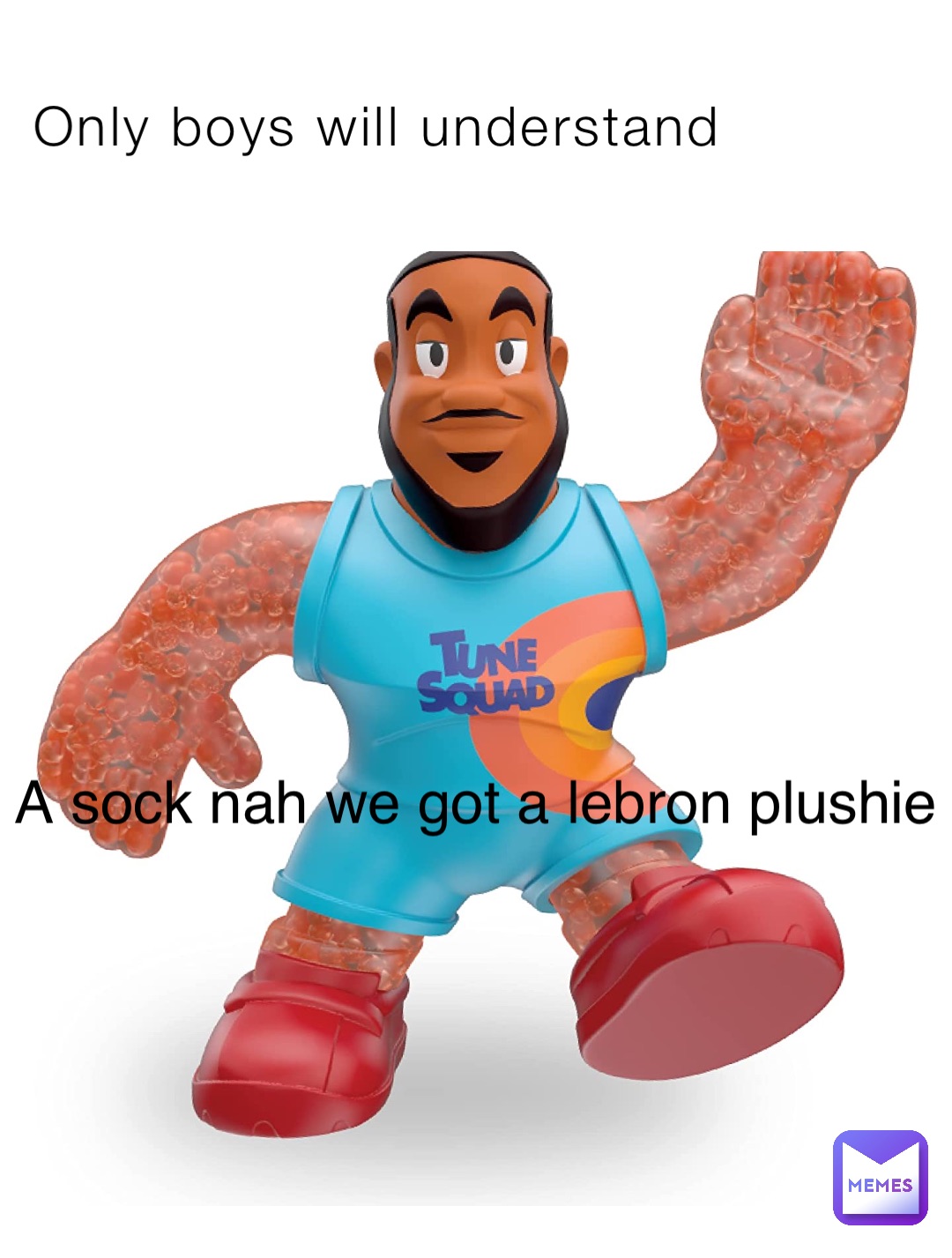 Only boys will understand A sock nah we got a lebron plushie