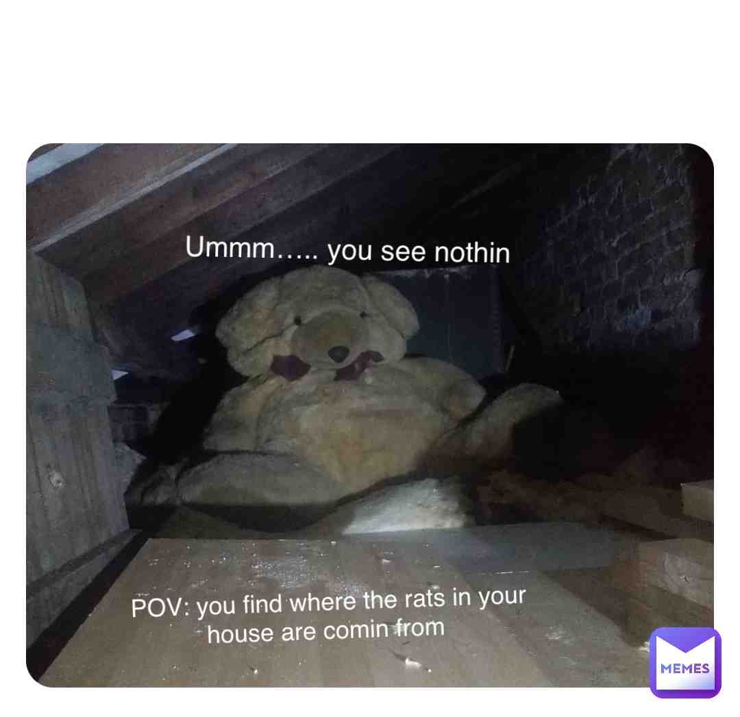 TEDDY BEARRRR