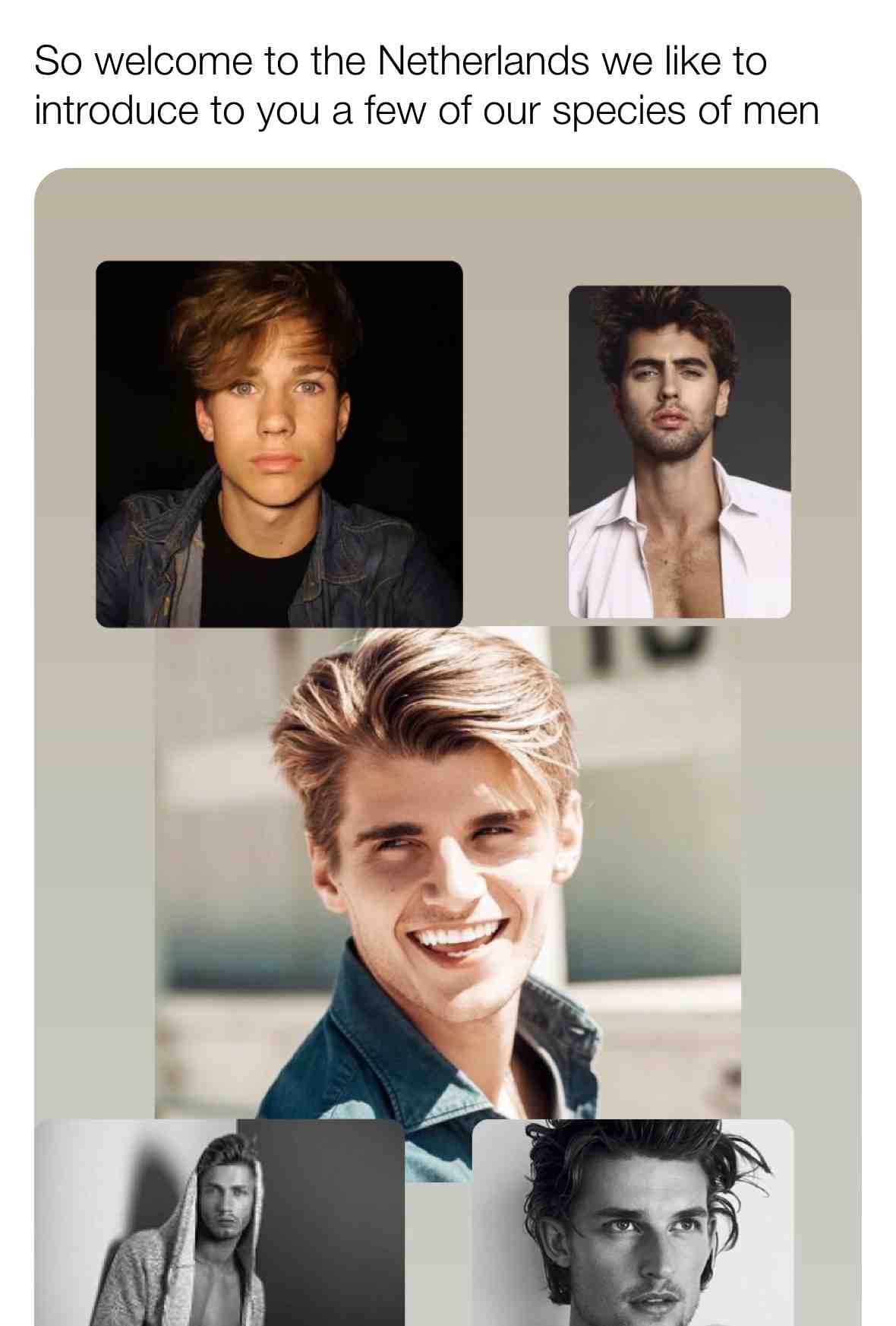 #dutch #men #handsome #pretty #hot #cute #instagram