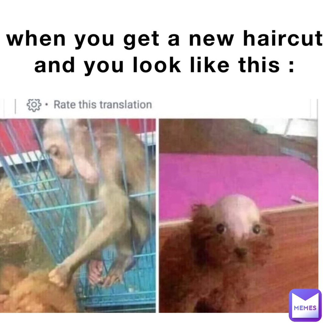 when you get a new haircut and you look like this :