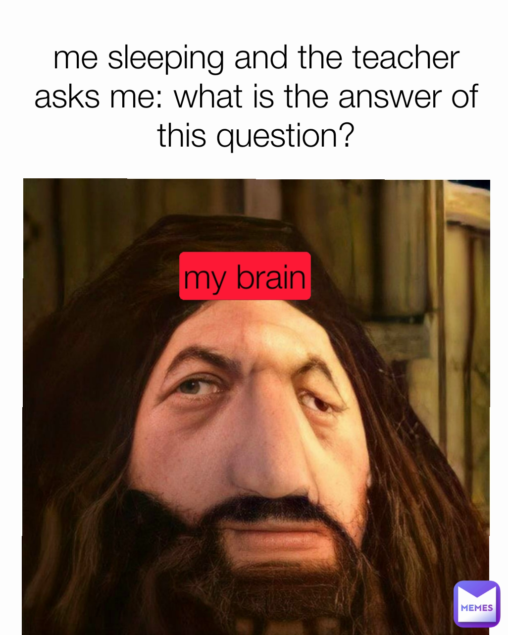 my brain me sleeping and the teacher asks me: what is the answer of this question?