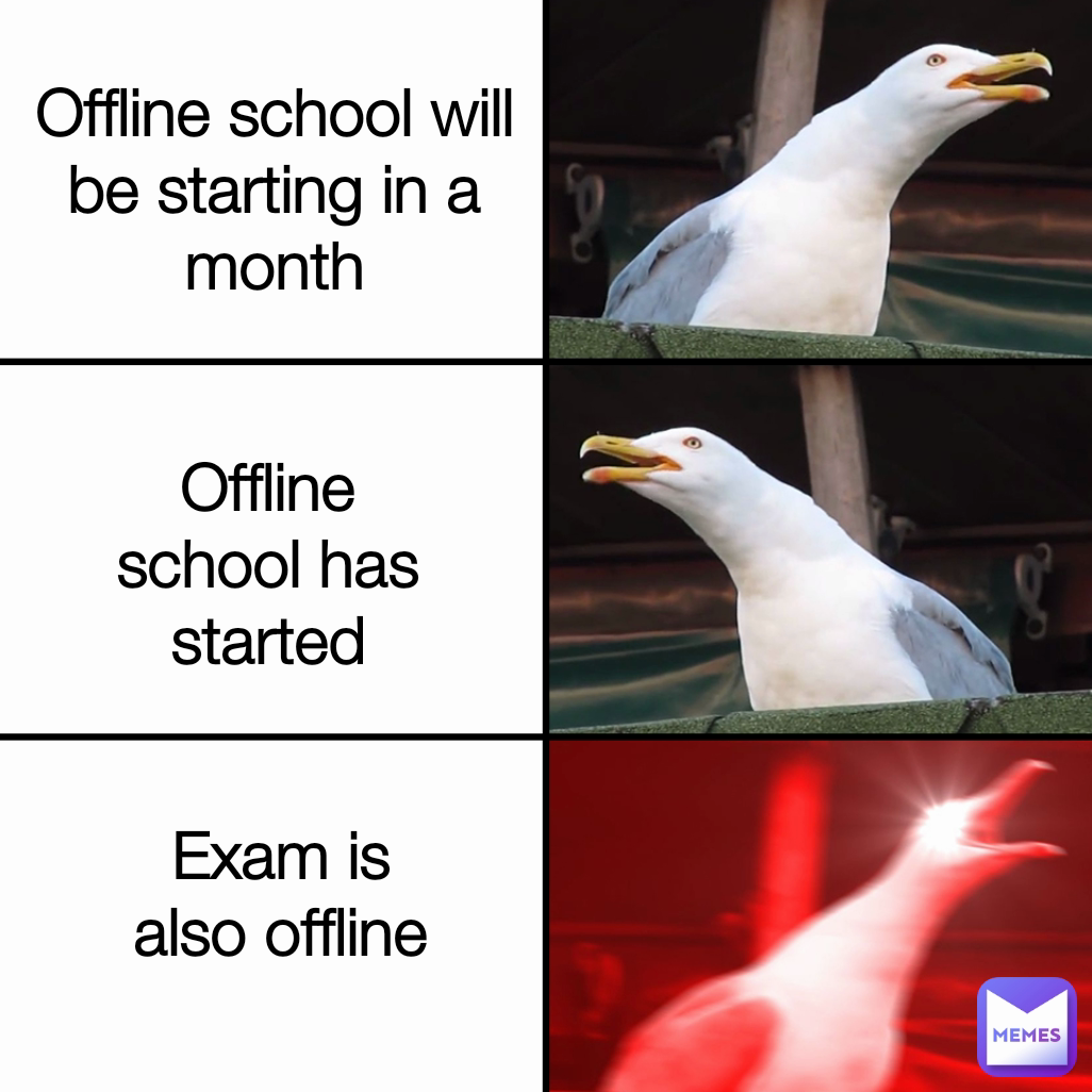 Offline school has started Exam is also offline Offline school will be starting in a month